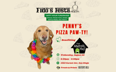 Fido’s Festa 8/20: Benefitting The Animal Pad!